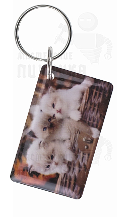 КАРТА.мини RFID "Котята" v3
