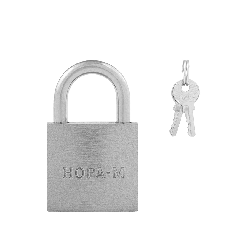 Замок навесной ЗН-808 25 мм серебро