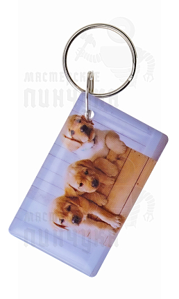 КАРТА.мини RFID "3 СОБАЧКИ" v2